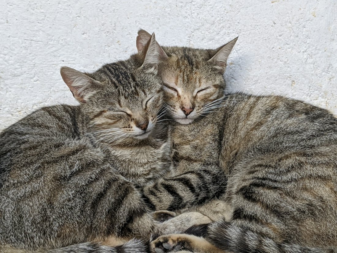 Nissi und Mendes